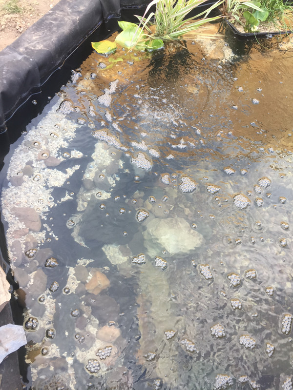 D97D54D3-52B8-4466-B5EA-3568082103A7