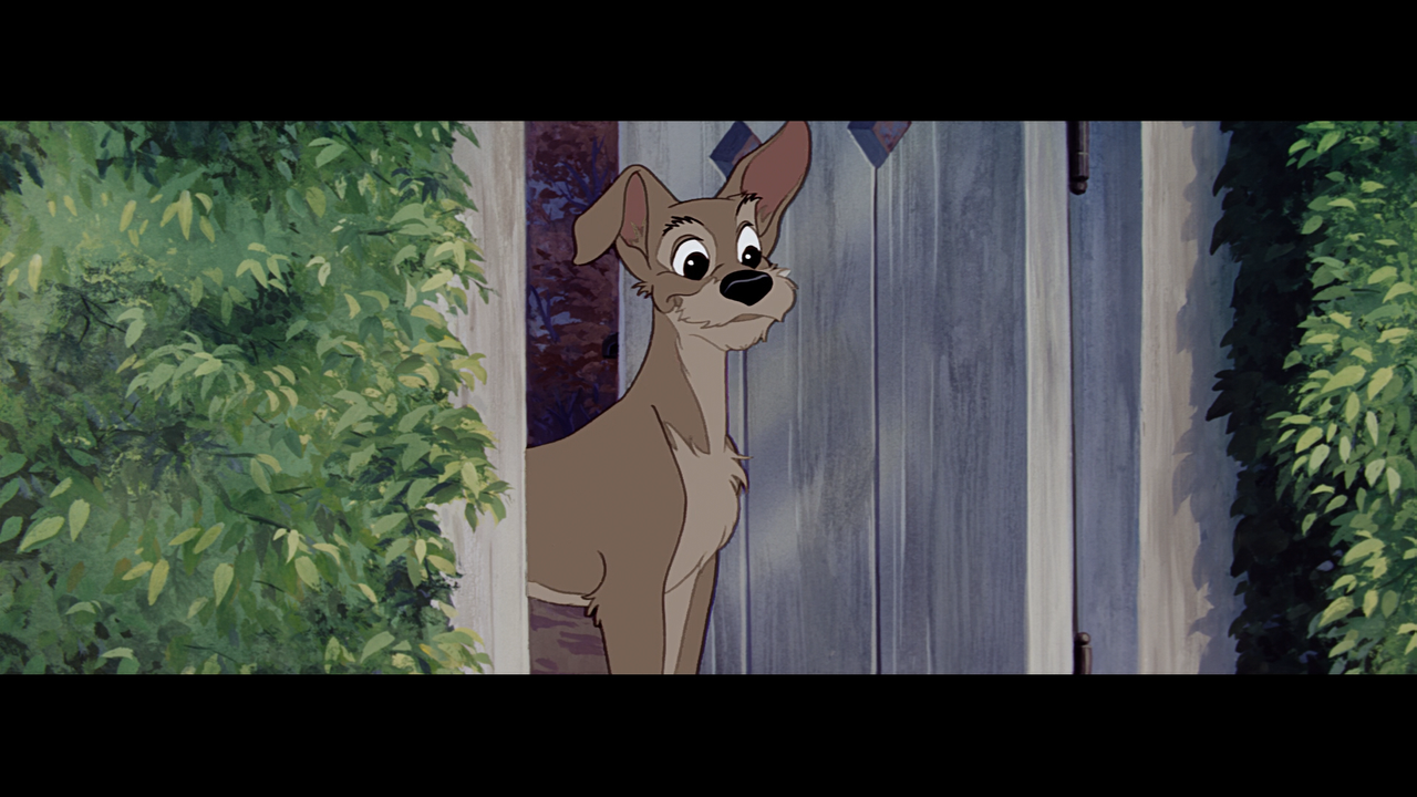 lady_and_the_tramp_16