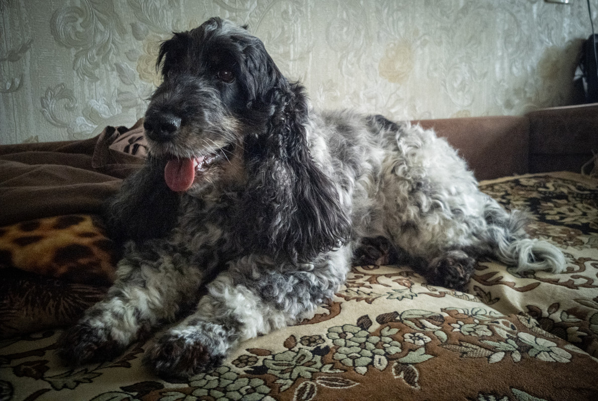 IMG_20230429_111049 (1)