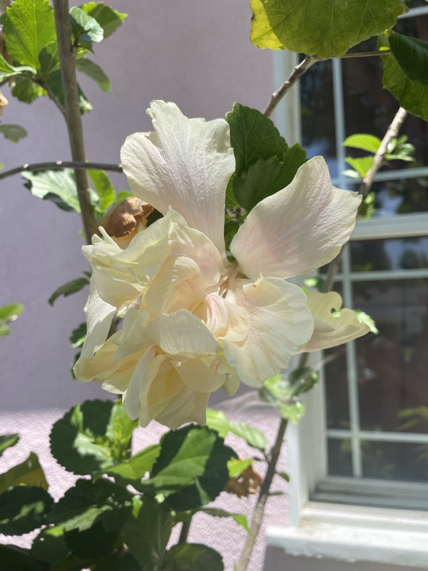 70-A8-E83-F-478-A-4697-B833-02-AC06761-DB5-1-105-c