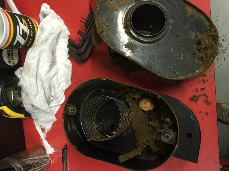 8098A345-FBBD-426B-BDB7-A946FBFBC368