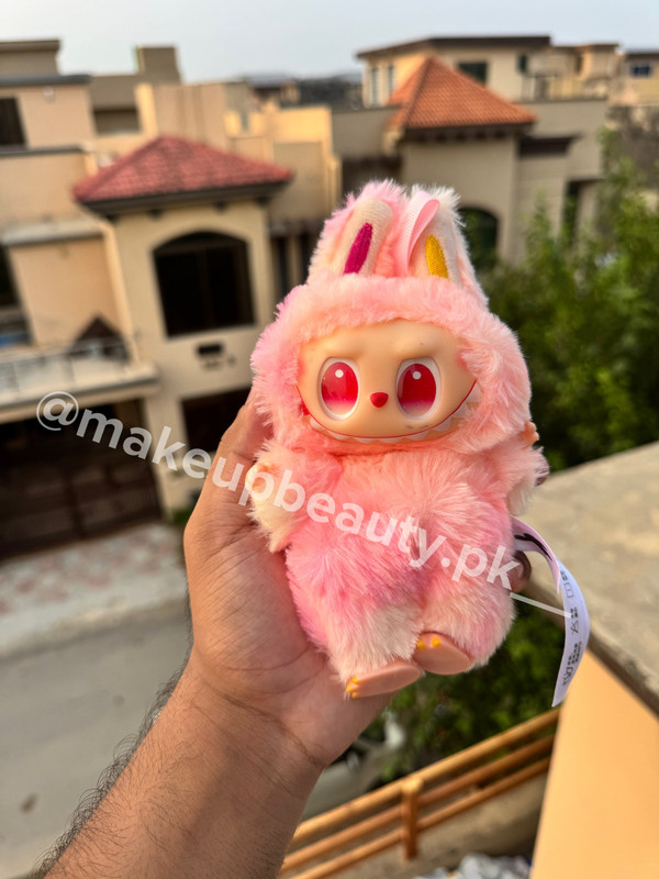 Pop Mart Labubu Blind box surprise package. Premium Quality soft stuff. - image 5