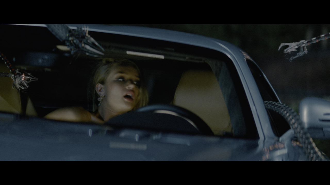 vlcsnap 2026 02 23 19h14m55s887