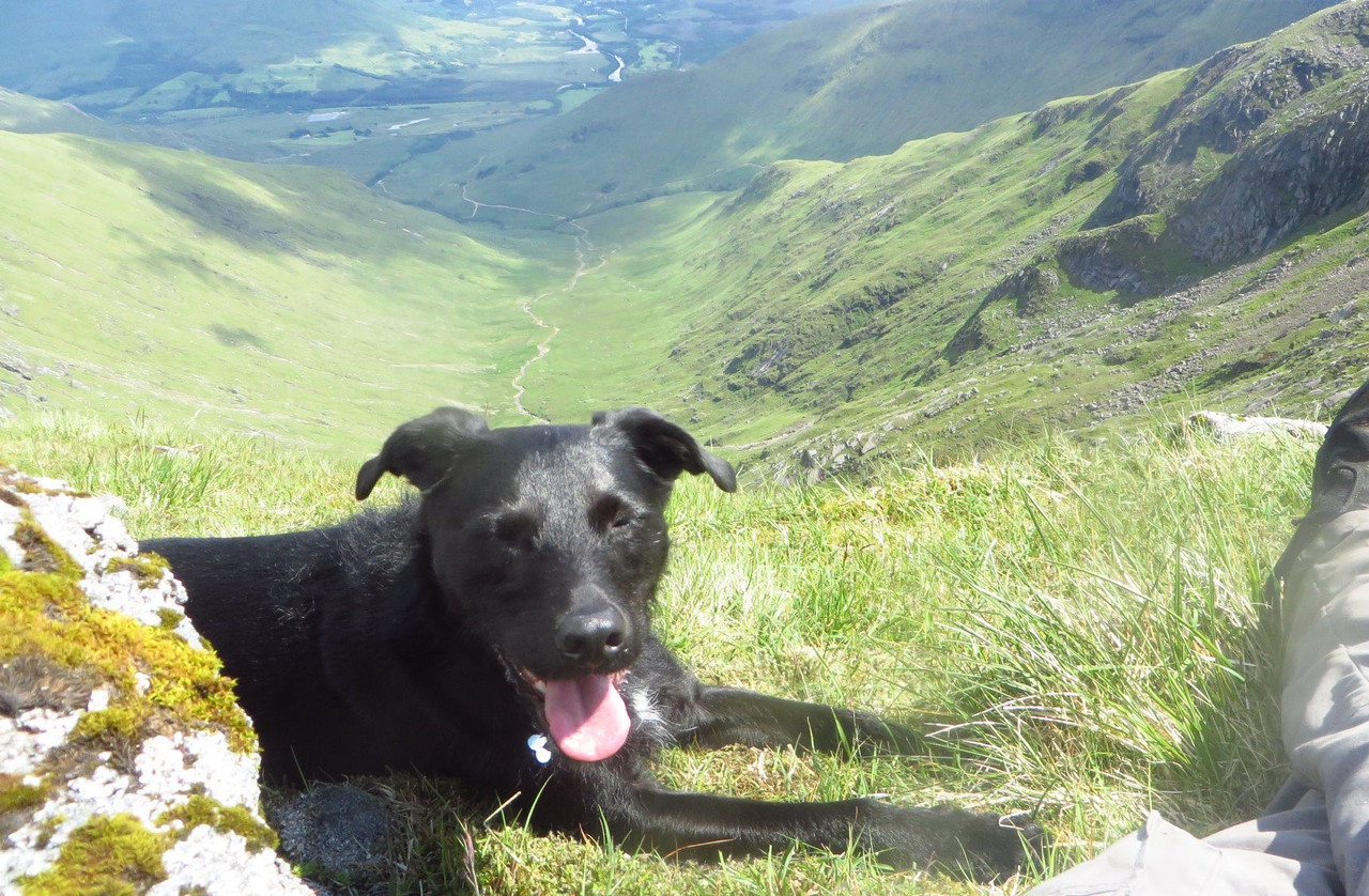 67967848-901962800170692-678363271351867