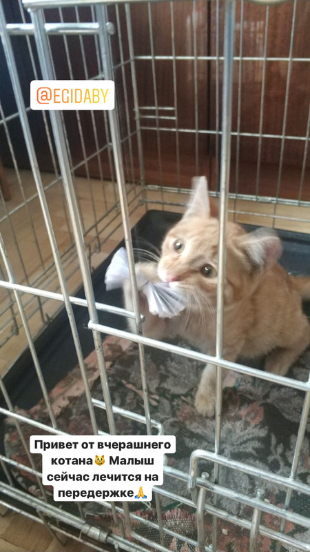 62D4BDB8-853D-4DFA-A1A6-7015D02EE642