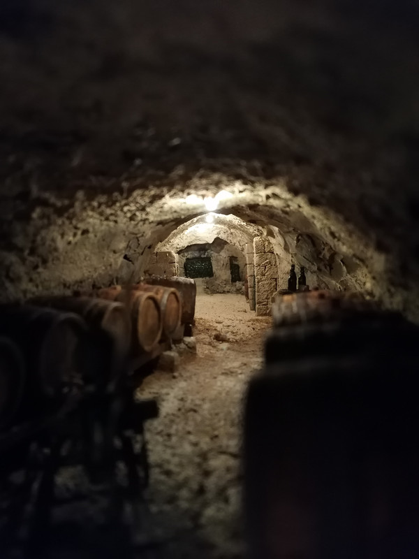 1/24. Sortie de cave en Rabelaisie 1956,, échelle 1/24 IMG-20201221-175726