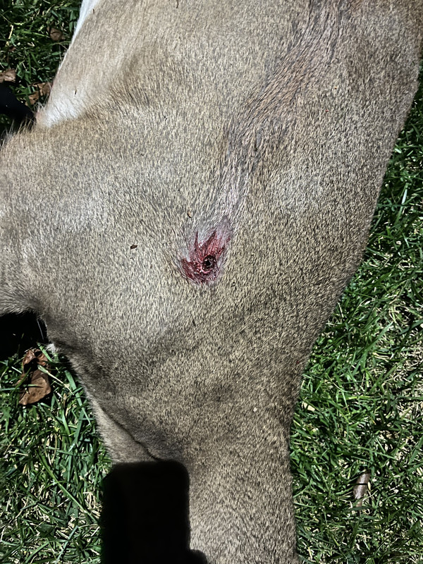 EC236CD8-161A-44CA-BE64-5DD36C24B55A