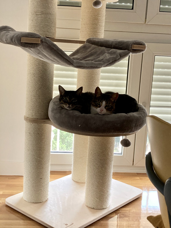 32883F6E-CA6F-4F91-A97C-5A87BA7D36D0