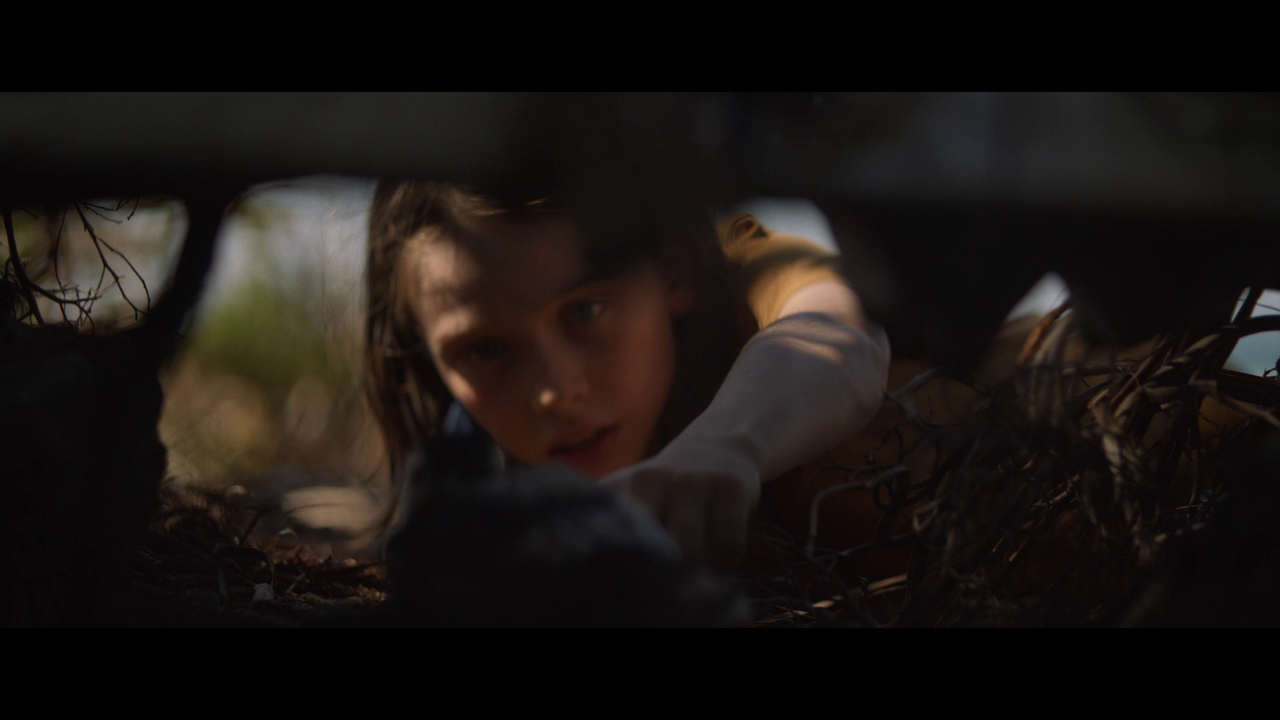 vlcsnap-2021-07-18-08h33m14s680