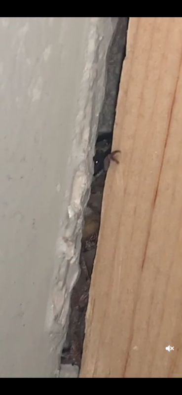 Screenshot_20210707-202421