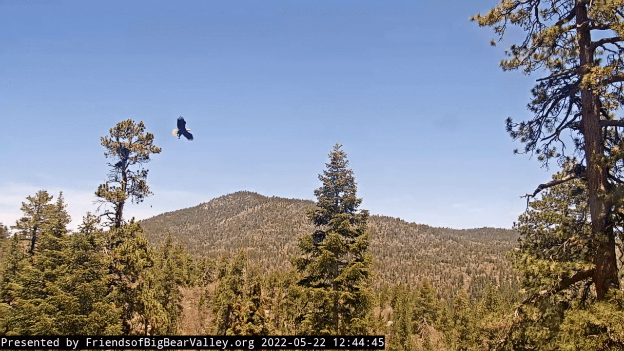 Webp.net-gifmaker (1)