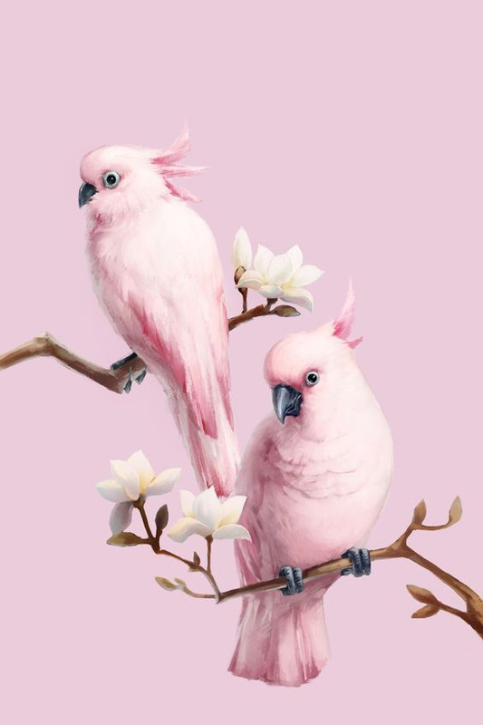 pink-doves.jpg