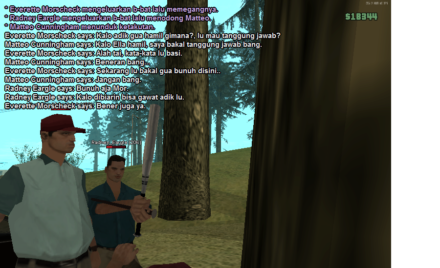 SS11.png