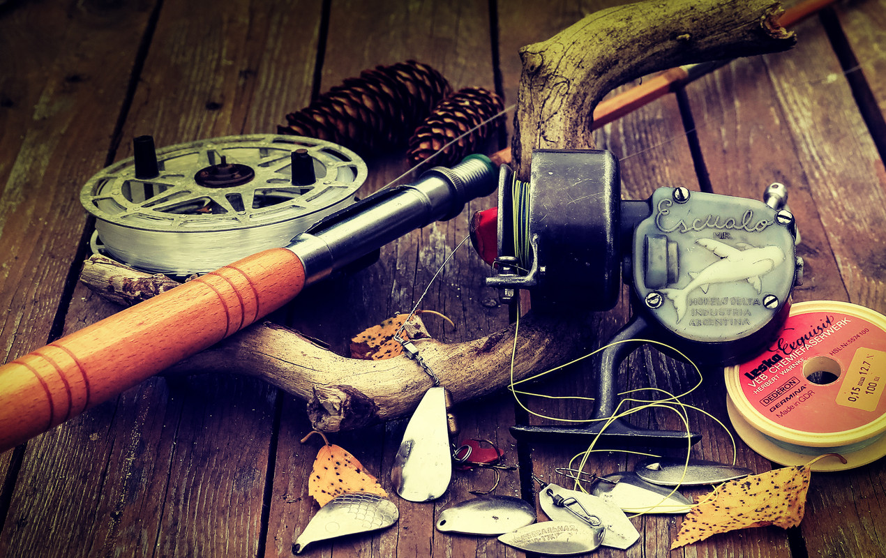 Без названия (5)