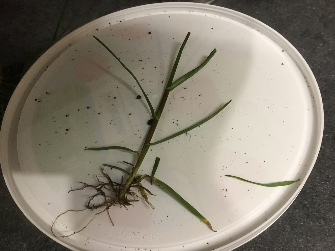 3A276456-F095-43E3-8385-76A049B72C5D