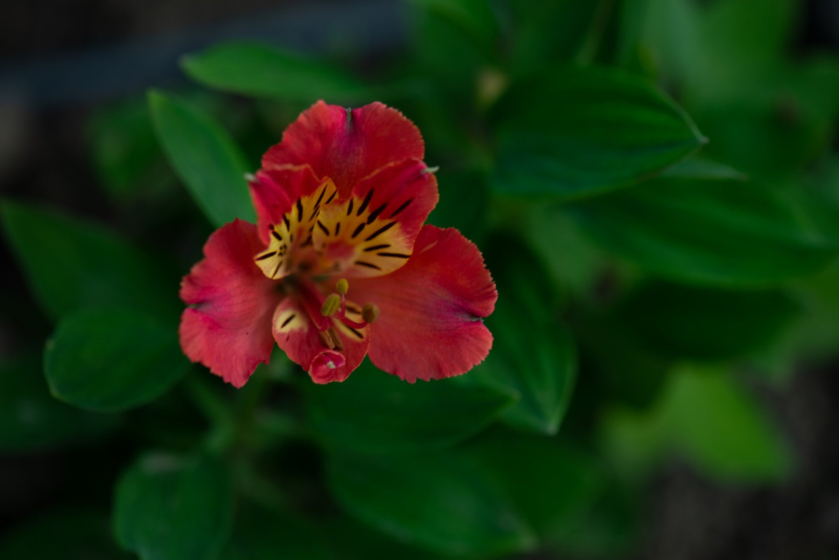 IMG-47bbc9ed39bf252730a68d0f7f256c06-V