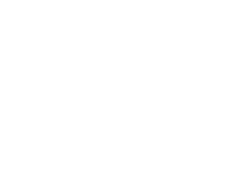 1 (40)