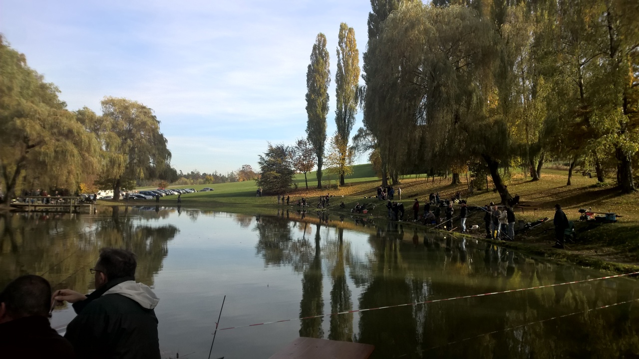 WP_20161101_13_25_29_Pro_LI