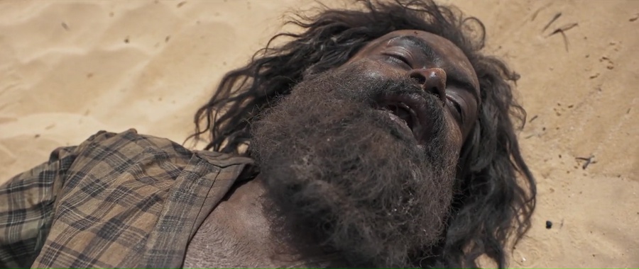 The Goat Life 2024 WebRip [Hindi + Tamil + Telugu + Malayalam + Kannada] 480p, 720p, 1080p ESub Screenshot