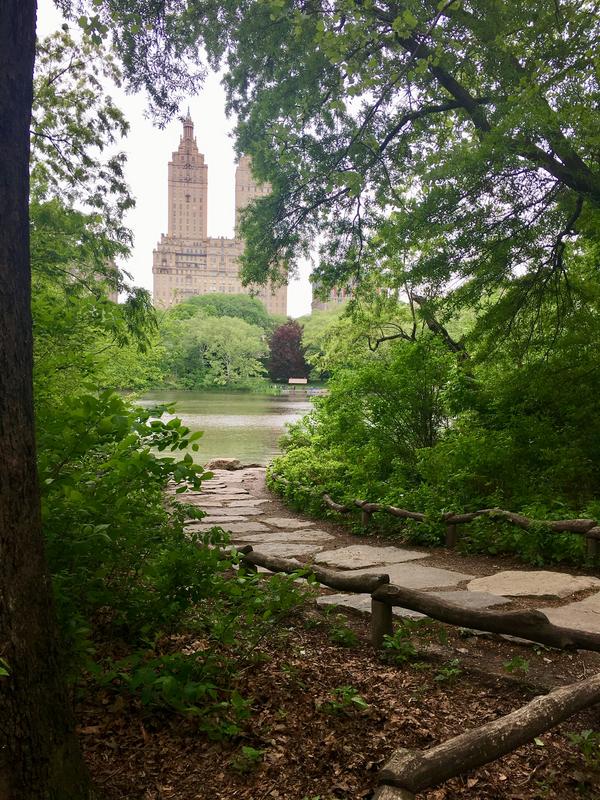 50D2D7A9-0EB5-4E7D-8A26-D193E770357B