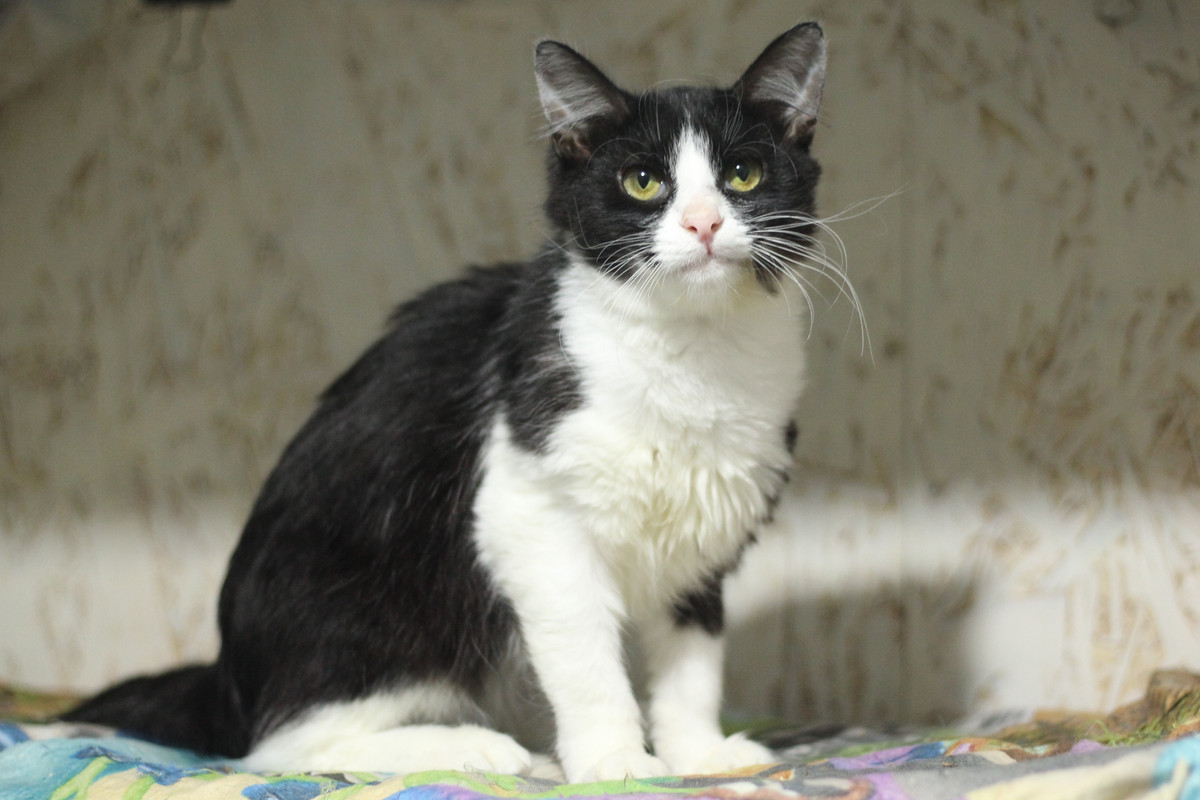 IMG_7266 — копия