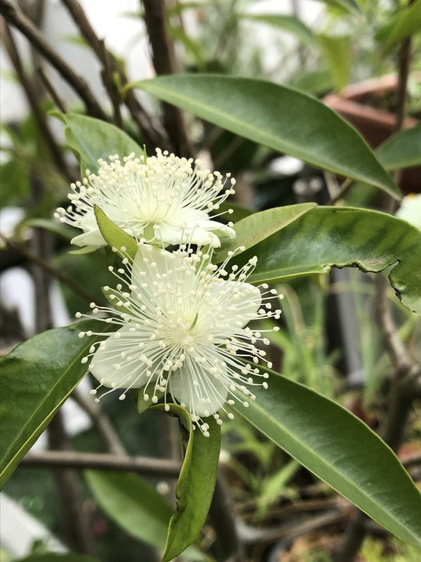 F95F05C8-EA49-460C-AA54-5A19431EFFC8