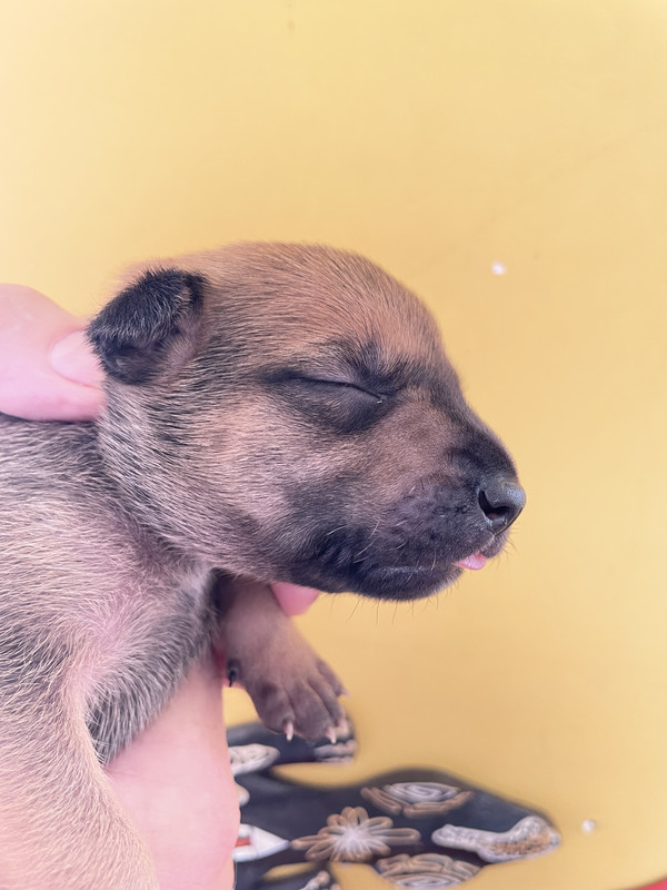 D438B6CB-2F12-40DB-BC7B-691AD1EA7ECF