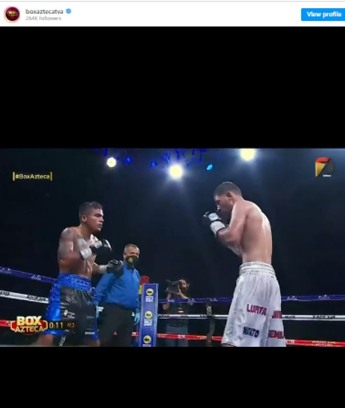 Réferi de box recibió un fuerte golpe y sale del ring en camilla