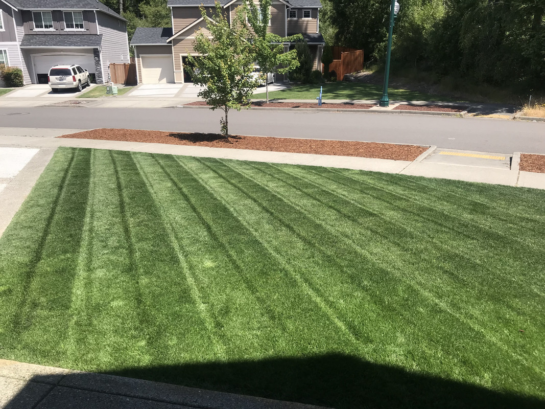 F5AE60D3-6B06-46C3-9523-9C8E1293586F