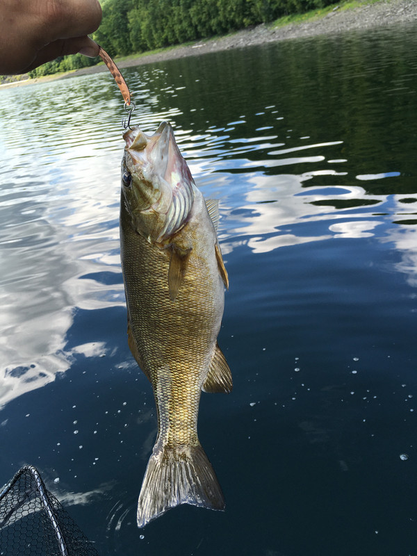 FBAE94DB-1027-4A59-B9AE-C612B3467014