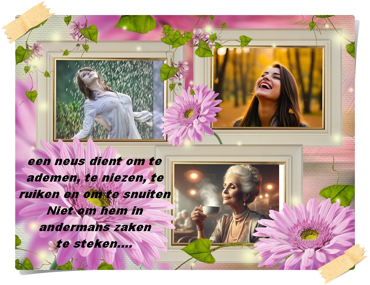 Klik op de afbeelding om de link te volgen