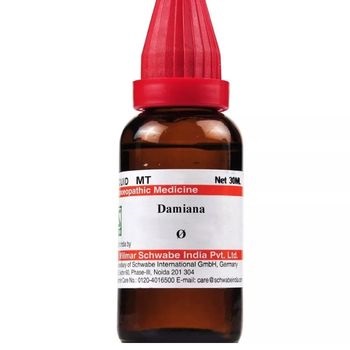 Willmar Schwabe India Damiana 1X (Q) (30ml)