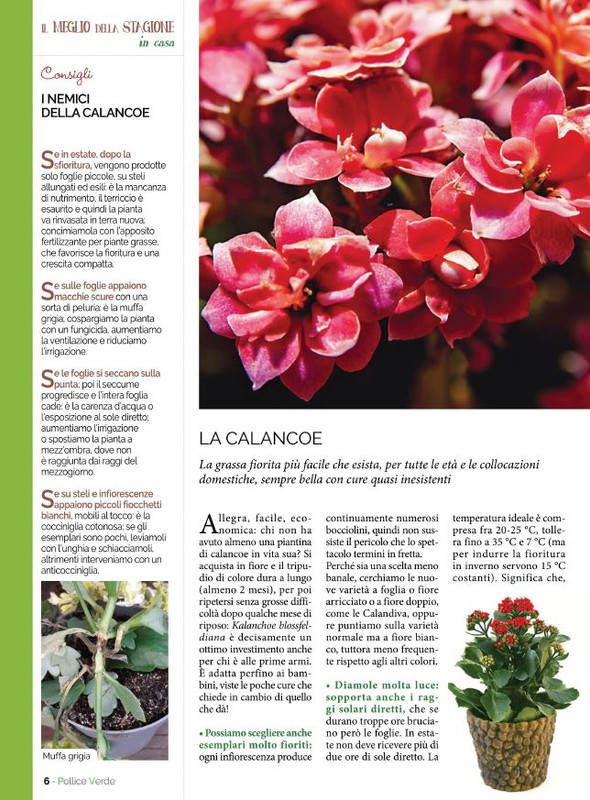 Pol Ver Gen-Feb 2022 (1)