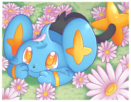 shinx-redraw-poke-card-by-yazumimisora-d