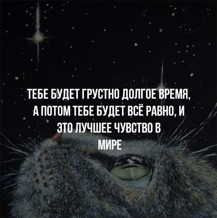 3250.jpg
