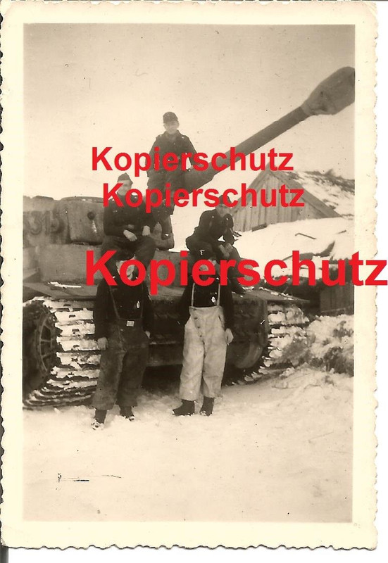 Tiger Panzer Abteilung 501 mit Nummer 331 in Rußland Witebsk 194