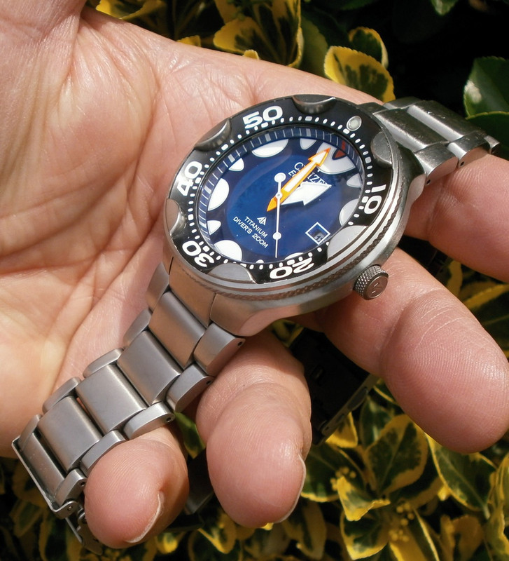 Citizen_Eco-Drive-Orca-BN0019-57L-2