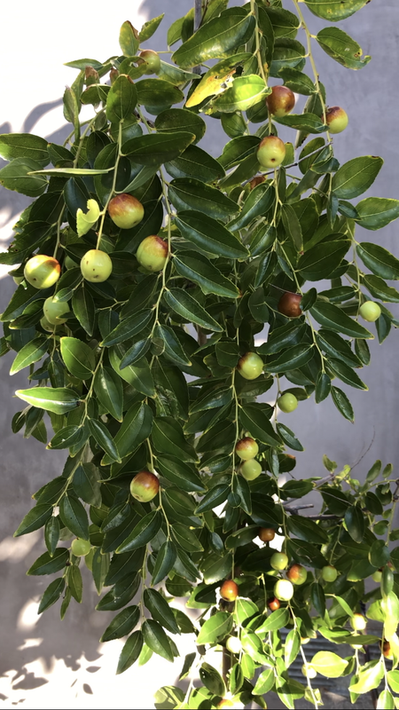 AB7979CE-CD0C-4FD8-AFD9-A6D118F6A42F