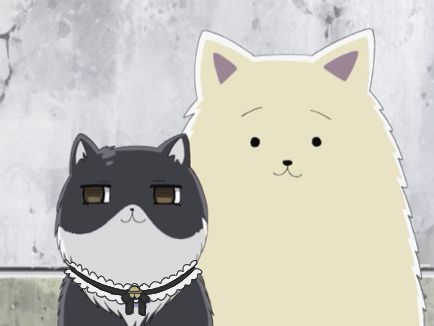 neko gunma neko gunma