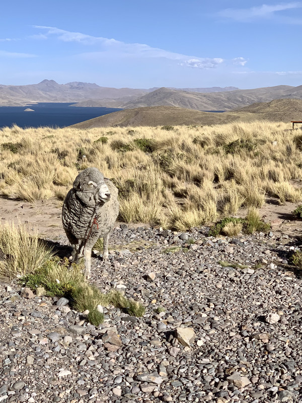 C528D6FF-6946-4F58-BB51-CEE1E5D9D66D