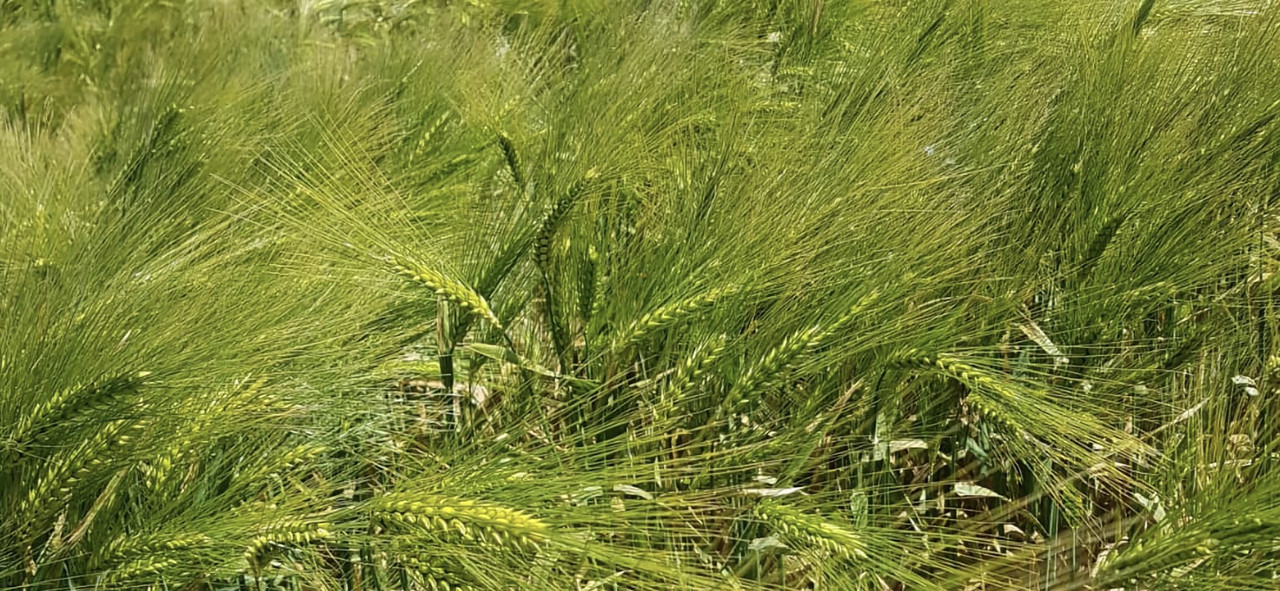 Screenshot-20260406-205048-Gallery