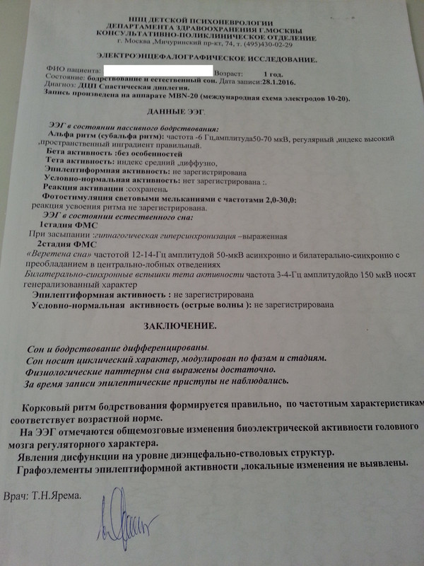 заключение 1 год