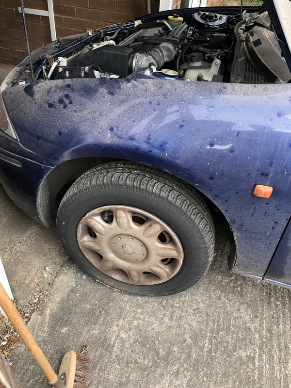 1CE6D9AD-D209-40DD-9267-0D93C448EDFA