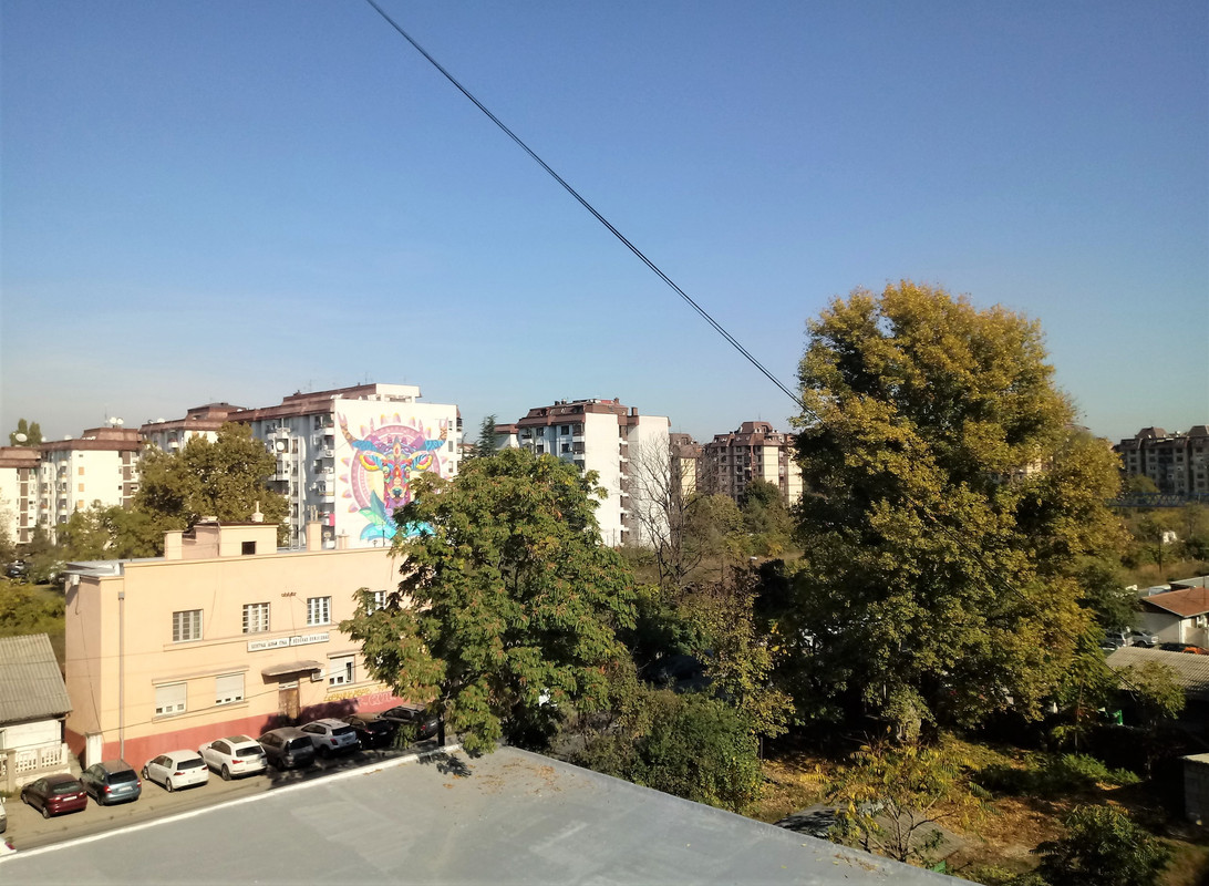 Slika