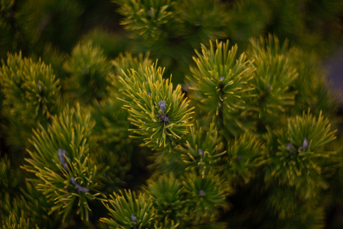 IMG-a14cce578128c586e450590f76623829-V