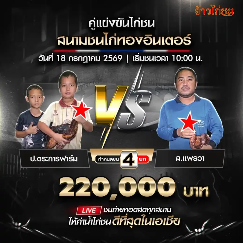 โปรแกรมไก่ชน สนามชนไก่ทองอินเตอร์ 18 กรกฎาคม 2569 ป.ตระการฟาร์ม พบ ส.แพรวา
