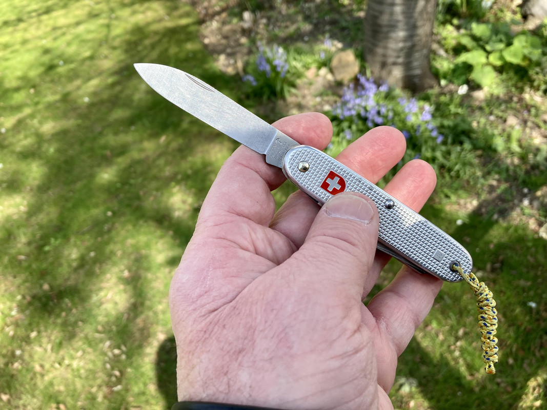 E9257B9C-D254-421E-9C27-B3551374A992