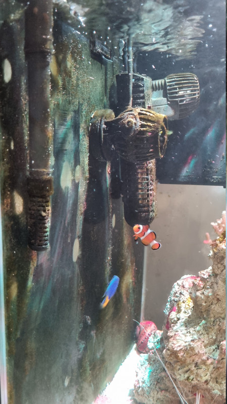 20260508 191754