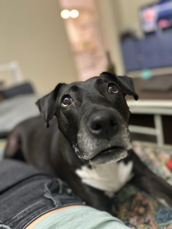 WhatsApp Image 2024-01-08 at 15.04.48 (2)