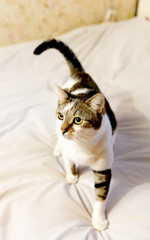 Изображение WhatsApp 2025-03-10 в 10.27.45_d6fd7d93